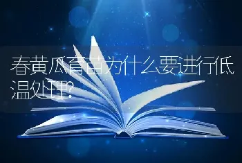 春黄瓜育苗为什么要进行低温处理?