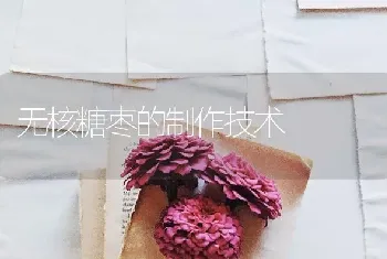 无核糖枣的制作技术