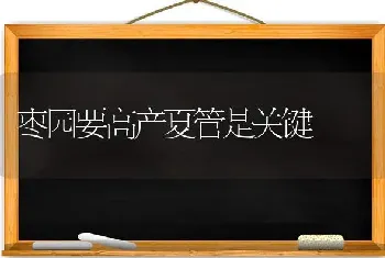 枣园要高产夏管是关键