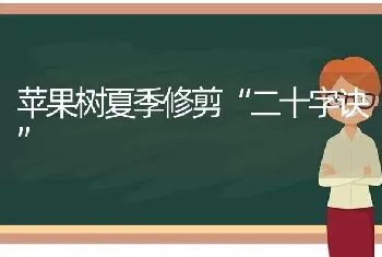 苹果树夏季修剪“二十字诀”