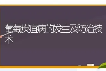 葡萄炭疽病的发生及防治技术