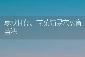 夏秋甘蓝、花菜简易穴盘育苗法