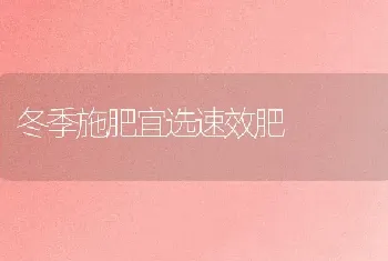 冬季施肥宜选速效肥