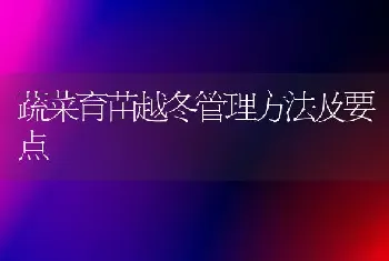 蔬菜育苗越冬管理方法及要点