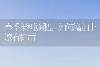 春季果树施肥：如何增加土壤有机质