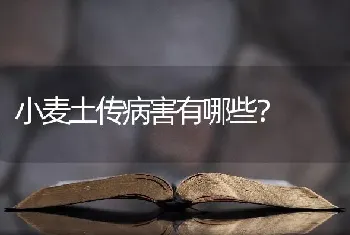 小麦土传病害有哪些?