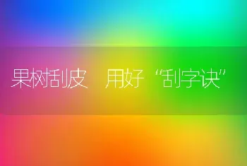 果树刮皮 用好“刮字诀”