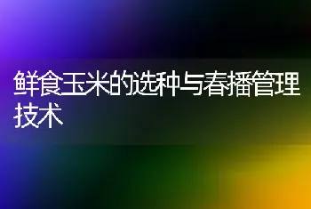 鲜食玉米的选种与春播管理技术