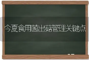 今夏食用菌出菇管理关键点