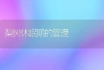 梨树休眠期的管理