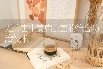 无公害生姜病虫害的综合防治技术