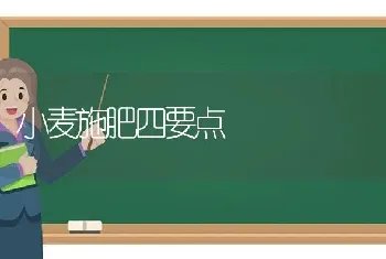 小麦施肥四要点