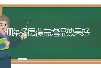 棚菜多层覆盖增温效果好