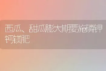 西瓜、甜瓜膨大期要施磷钾钙镁肥