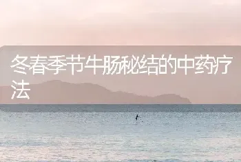 冬春季节牛肠秘结的中药疗法