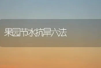 果园节水抗旱六法