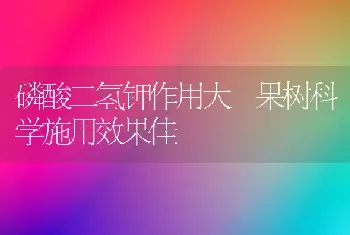 磷酸二氢钾作用大 果树科学施用效果佳