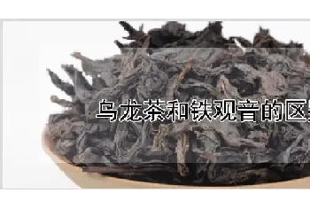 乌龙茶和铁观音的区别