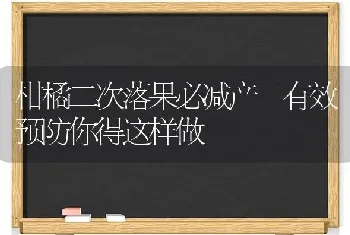 柑橘二次落果必减产 有效预防你得这样做