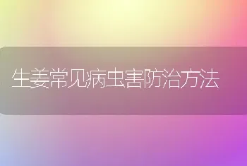 生姜常见病虫害防治方法