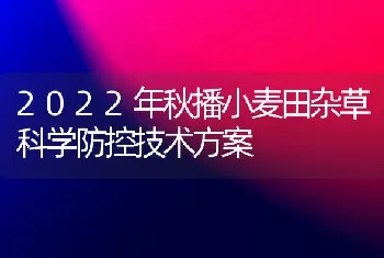 2022年秋播小麦田杂草科学防控技术方案