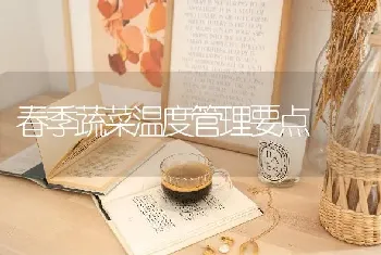 春季蔬菜温度管理要点