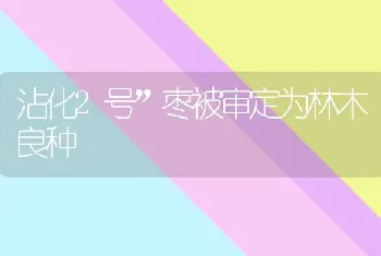 沾化2号”枣被审定为林木良种