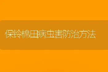 保铃棉田病虫害防治方法