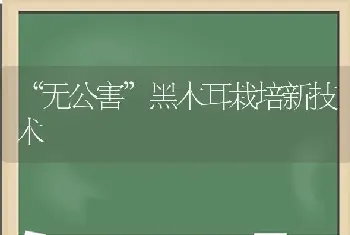 “无公害”黑木耳栽培新技术