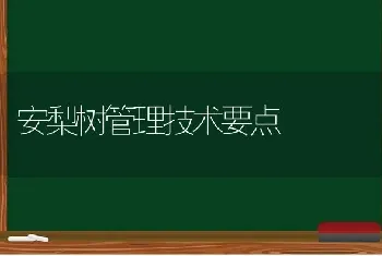 安梨树管理技术要点