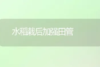 水稻栽后加强田管