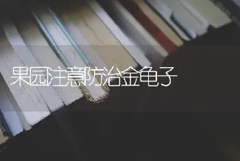 果园注意防治金龟子