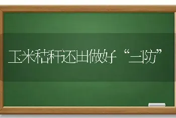 玉米秸秆还田做好“三防”