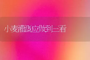 小麦灌溉应做到三看