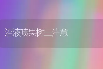 沼液喷果树三注意