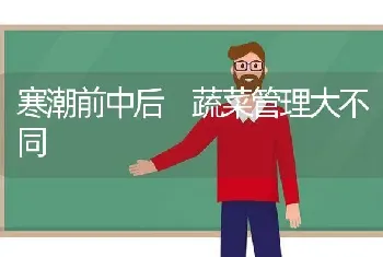 寒潮前中后 蔬菜管理大不同