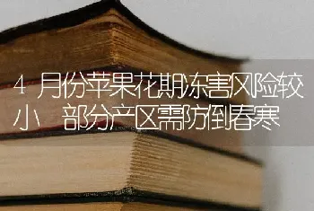 4月份苹果花期冻害风险较小 部分产区需防倒春寒