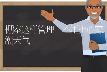 番茄果实弱小、畸形原因及防治