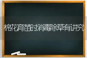 棉花育苗时消毒除草有讲究