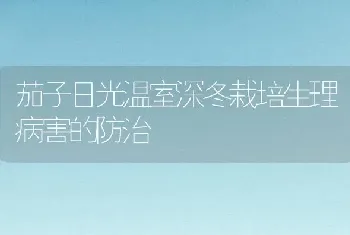 茄子日光温室深冬栽培生理病害的防治