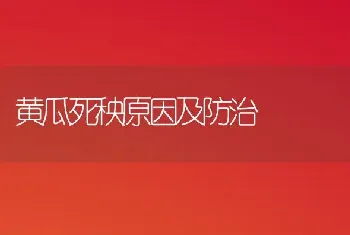 黄瓜死秧原因及防治