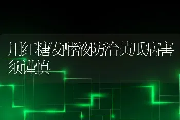 用红糖发酵液防治黄瓜病害须谨慎