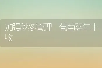 加强秋冬管理 葡萄翌年丰收