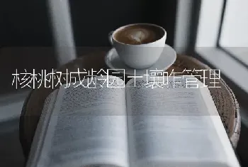 核桃树成龄园土壤咋管理