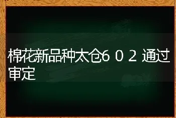 棉花新品种太仓602通过审定