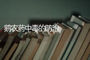 鹅农药中毒的防治