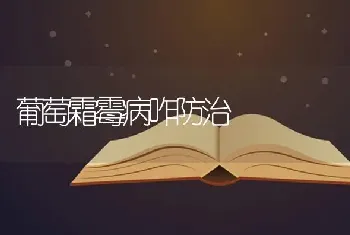 葡萄霜霉病咋防治