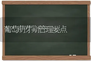 葡萄萌芽期管理要点