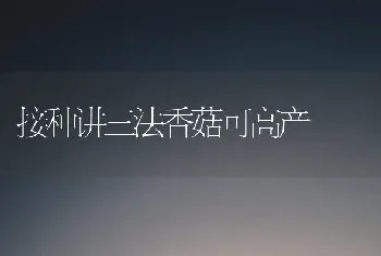 接种讲三法香菇可高产