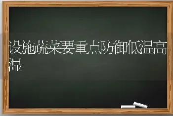 设施蔬菜要重点防御低温高湿